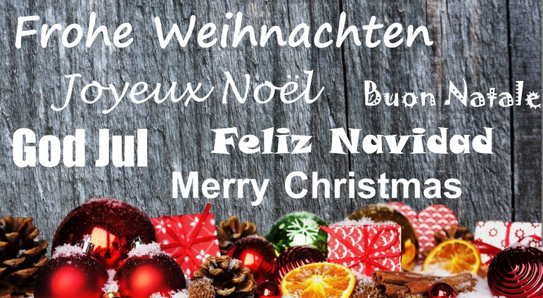 Frohe Weihnachten und einen guten Rutsch ins neue Jahr 2025
